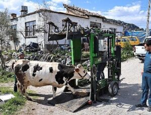 Büyükşehir’den Gündoğmuşlu üreticilere tırnak bakım takviyesi