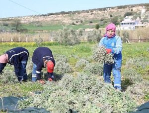 Didim Belediyesi’nden ‘Üreten Belediyecilik’ Uygulaması