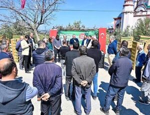 Gördes’te Üreticinin Yüzü Güldü: 73 Bin Domates Fidesi Toprakla Buluşuyor