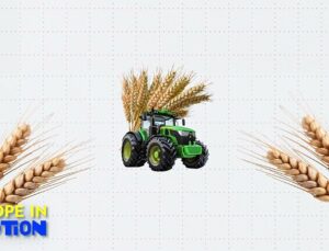 How resilient are European food systems amid climate change and global conflicts?