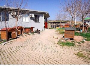 Lider Yetişkin: “Artık çöpe giden yemekler can dostlarımız için mamaya dönüşüyor”