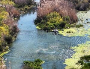 Manisa Büyükşehir Belediyesi’nden Vektörle Uğraşta Ağır Mesai