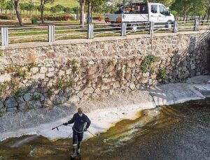 “Mevsimsel sinekler zararsız”