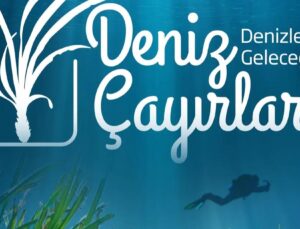 Milyar Dolarlık Ekolojik Tehdit!