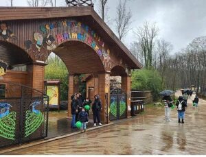 Ormanya bayramda tekrar tepede