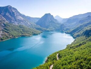 Su ve Orman: Tabiatın, Refahın ve Eşitliğin Temel Taşları