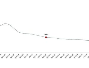 Tüketici Fiyat Endeksi, Şubat 2026
