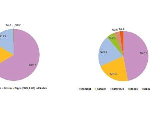 Ulaştırma Dalı Kesin Güç Tüketim İstatistikleri, 2024