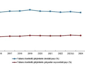 Yabancı Denetimli Teşebbüs İstatistikleri, 2024