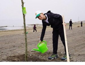 Yeni Hayat Alanında Çınar Ağaçları Yükselecek