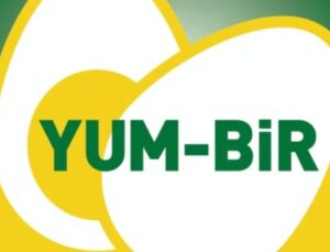 Yumurta Üretimi Rekor Seviyeye Ulaştı