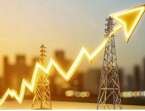 2025’i 61 milyon dolar ciro ile tamamlayan Omega Küme, 2026’da büyümeye devam ediyor