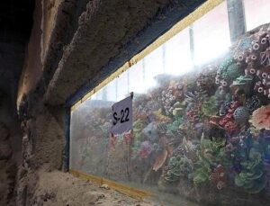 30 farklı akvaryum eşsiz bir seyahat yaşatacak