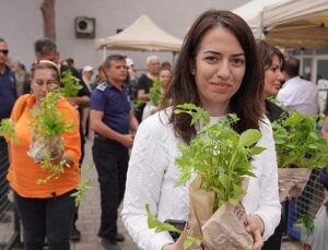Atalık tohumdan geleceğe