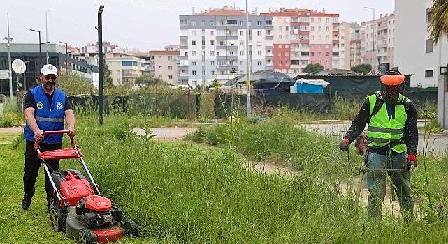 Buca’da bahar paklığı