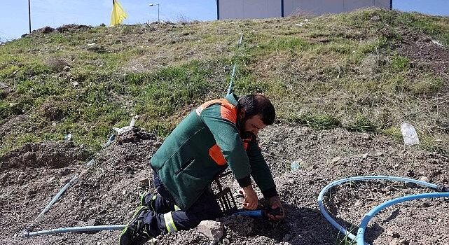 Çankaya’da Kurban Bayramı Hazırlıkları Başladı