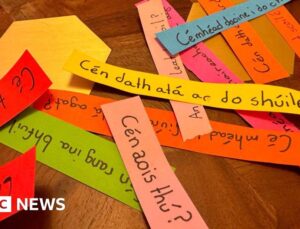 ‘Deeply infuriating’: The Irish speakers fed up over fada-less forms and flights