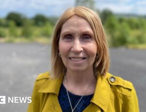 Irish-language activist from Belfast appointed to advise Irish president