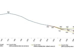İstatistiklerle Çocuk, 2025