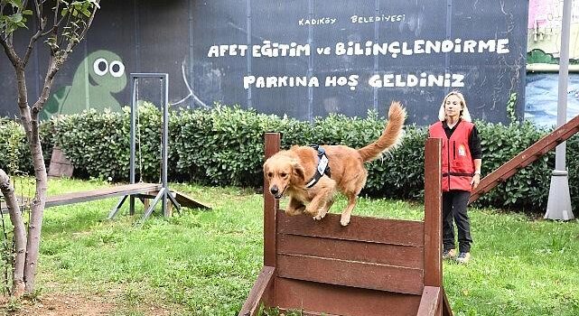 Kadıköy Belediyesi 4 Sertifikalı Arama Köpeği Olan Tek İlçe