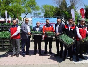 Kahramanmaraş’ta Üreticiye 650 Bin Hibe Biber Fidesi