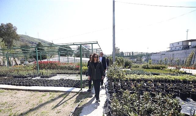 Karşıyaka Belediyesi üretiyor, parklar çiçek açıyor