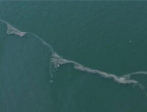 Körfez’de 12. kere dış kaynaklı kirlilik tespit edildi