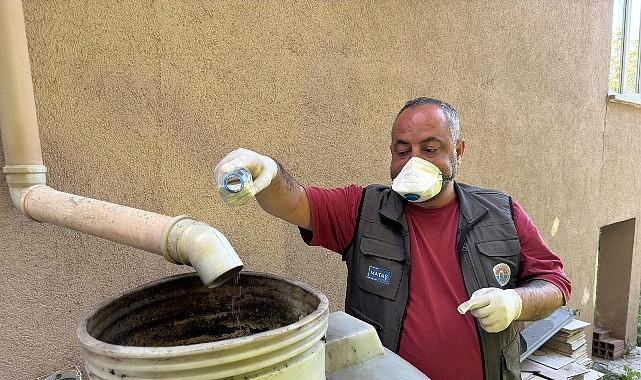 Maltepe’de sivrisinek çabası erken başladı