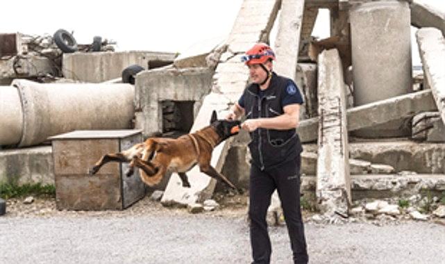 Momo enkaz için eğitiliyor