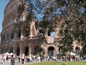 Olive harvesting at the Colosseum: a plantation in Roman ruins in the heart of the city