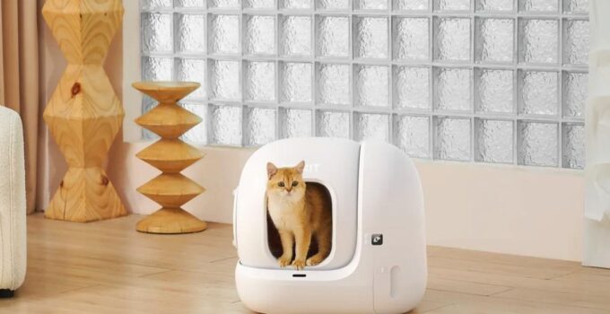 Patili Dostlarınızın Bakımında Yeni Dönem