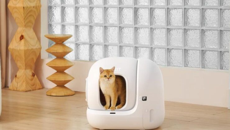 Patili Dostlarınızın Bakımında Yeni Dönem