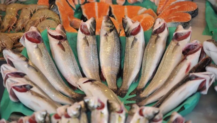 Su Ürünleri Sektörü İlk Çeyrekte İhracatını Yüzde 24 Artırdı