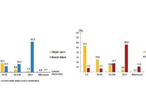 Teşebbüs Özelliklerine Nazaran Milletlerarası Hizmet Ticareti İstatistikleri, 2024