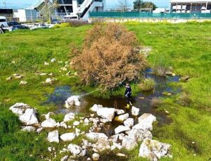 Torbalı Belediyesi’nden Halk Sıhhati İçin Seferberlik: Torbalı’da 12 Ay İlaçlama