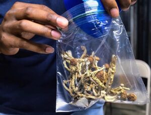 Trump signs order to fast-track research on psychedelic drugs