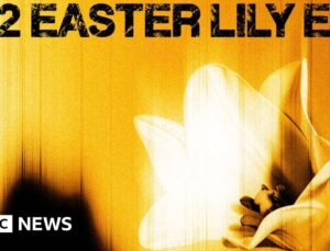 U2’s Easter Lily their second surprise EP this year
