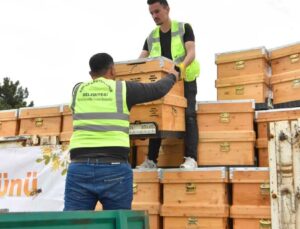 Ankara Büyükşehir Belediyesi 5 Bin Hibeli Arı Kovanı Dağıtımına Başladı