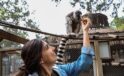 Antalya Doğal Hayat Parkı’nda yavru lemur sevinci