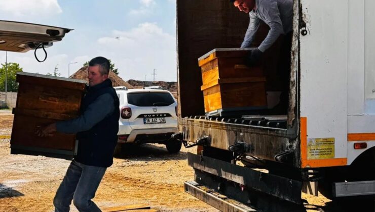 Bursa Büyükşehir’den Arıcılığa Destek