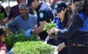 Büyükşehir’den Salihlili Üreticilere 34 Bin Zerzevat Fidesi