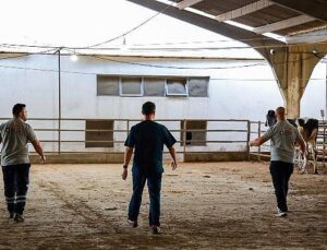 Büyükşehir’in kurban yakalama timi misyona hazır