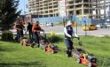 Çankaya Parklarında Çim Biçme Çalışması