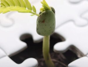  Gençlere Sürdürülebilir Finans Eğitimi ve Staj İmkanı