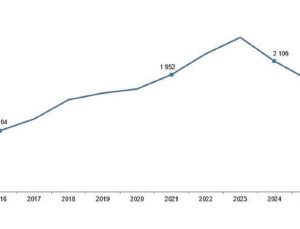 Kırmızı Et Üretim İstatistikleri, 2025