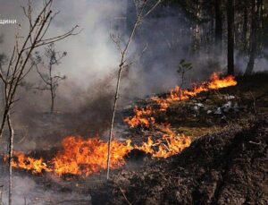 Large forest fire burning in Chernobyl exclusion zone after drone crash, Kyiv says