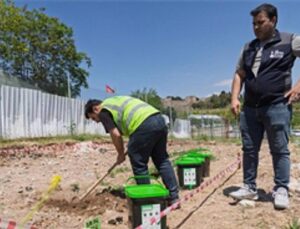 Organik atıklar hanelerde dönüşerek toprağı zenginleştiriyor