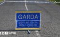 Pedestrian dies after being hit by car