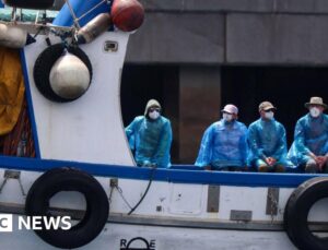 Plane sent to bring Irish passengers home from virus-hit ship