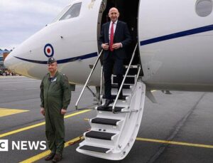 RAF jet carrying defence secretary has signal jammed near Russian border